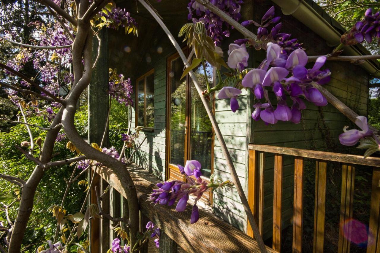 Les Quatre Siecles Bed & Breakfast Herce Exterior photo
